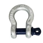 SCREW PIN ANCHOR SHACKLES