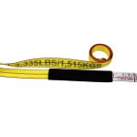 8 FT Auto Tie-Down w/- RTJ Cluster Hook