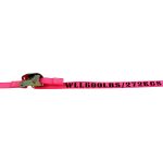 1″ CAM STRAP WITH WIRE HOOK