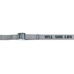 2" CAM STRAP WITH 3/4" F FITTING
