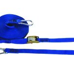 1″ CAM STRAP WITH CARABINER HOOK