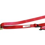 2" RATCHET BUCKLE MOTORCYCLE TIE-DOWN WITH SOFT LOOP